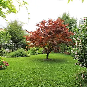 Nigler Appartamento Innsbruck
